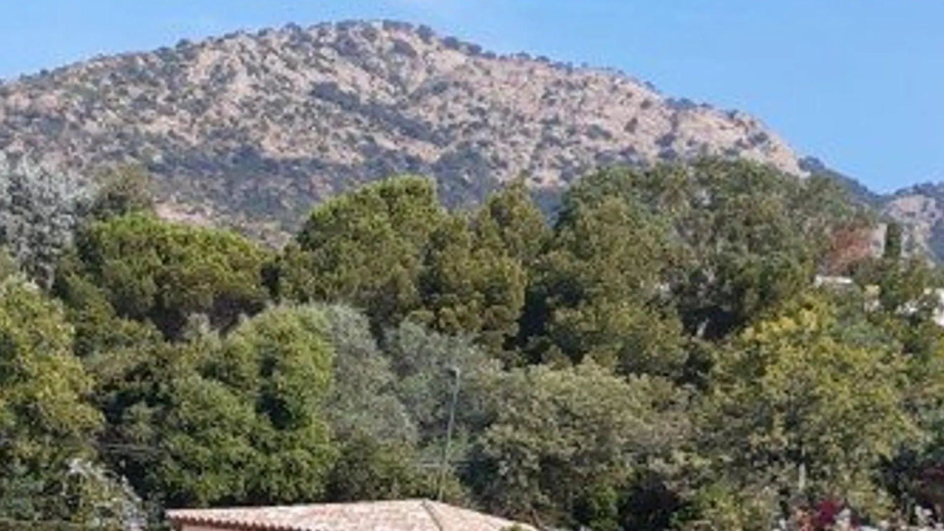 Beau T2 Avec Terrasse Vue Mer, Proche Plage, St Clair, Park, Animaux Acceptes, 3* - Fr-1-803-14 Le Lavandou Apartment